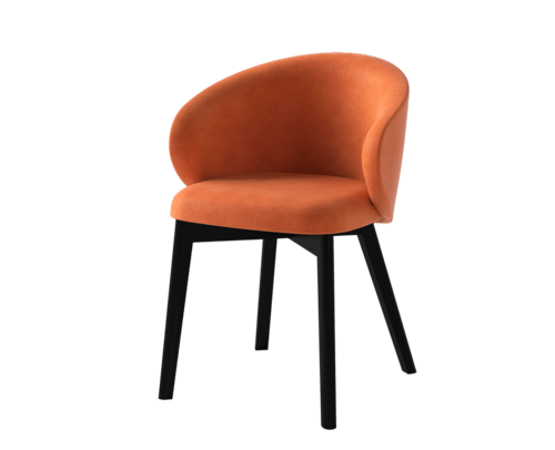 Alcyon armchair with graphite wooden legs