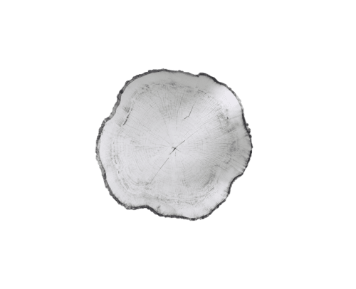 Miroir Arbo