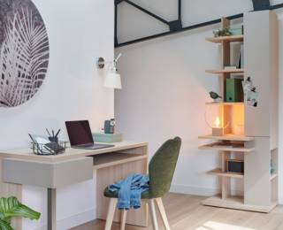 Graphic bookcase with 1 door