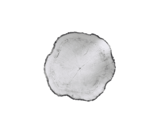Miroir Arbo