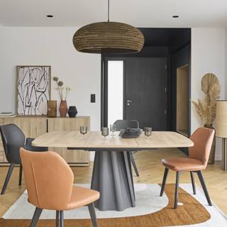 salon et salle à manger design meubles gautier